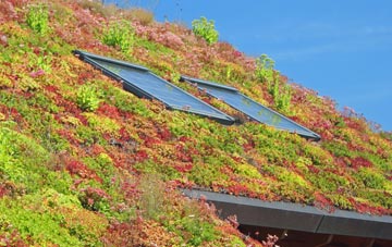 Linchmere living roof systems