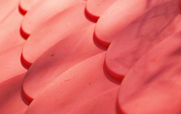 Linchmere plastic roof costs