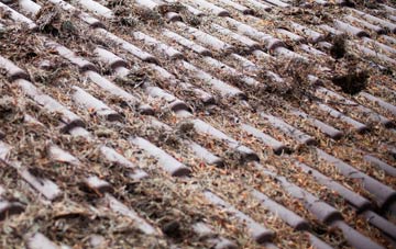 Linchmere roof cleaning companies